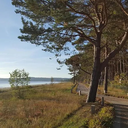Stylische Direkt Am Mit Balkon Und Saisonalem Strandkorb Binz